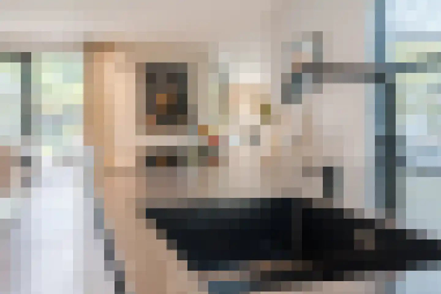 De Steenzager 36 Veldhoven thumbnail 10