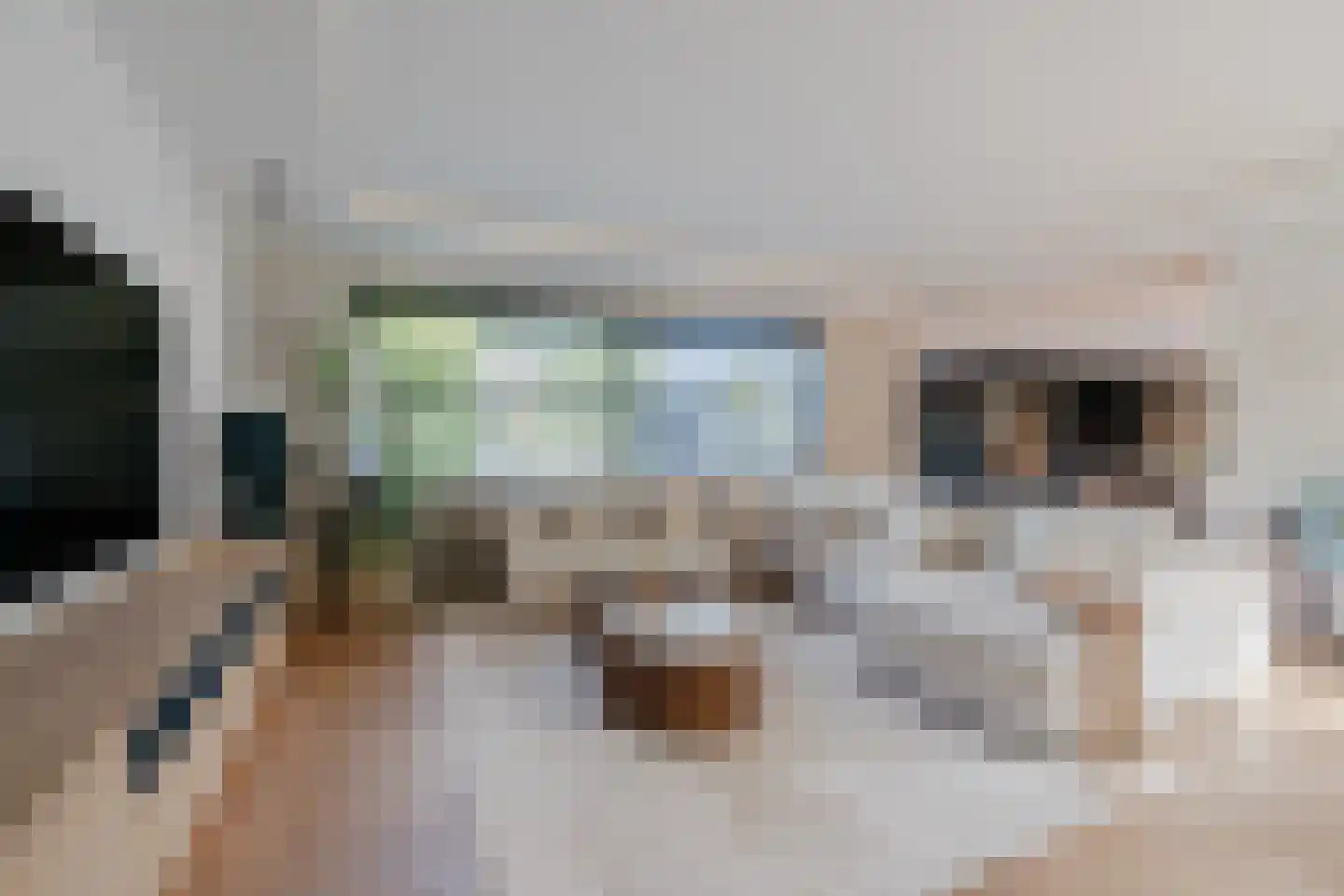 De Steenzager 36 Veldhoven thumbnail 12