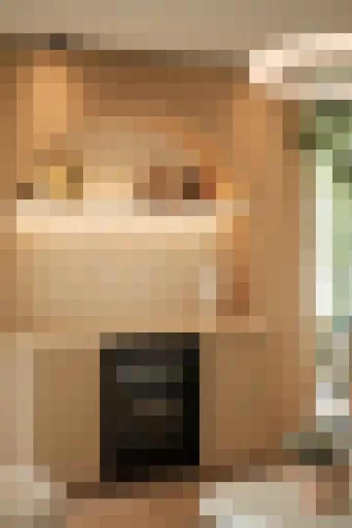 De Steenzager 36 Veldhoven thumbnail 16