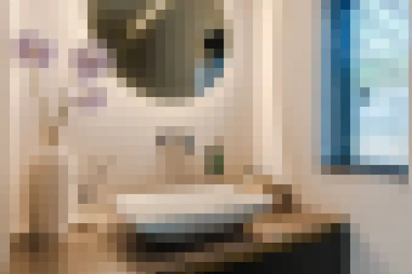 De Steenzager 36 Veldhoven thumbnail 22