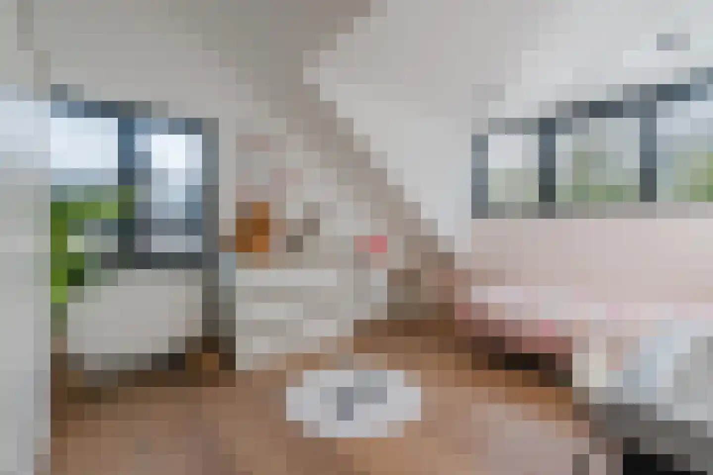 De Steenzager 36 Veldhoven thumbnail 25