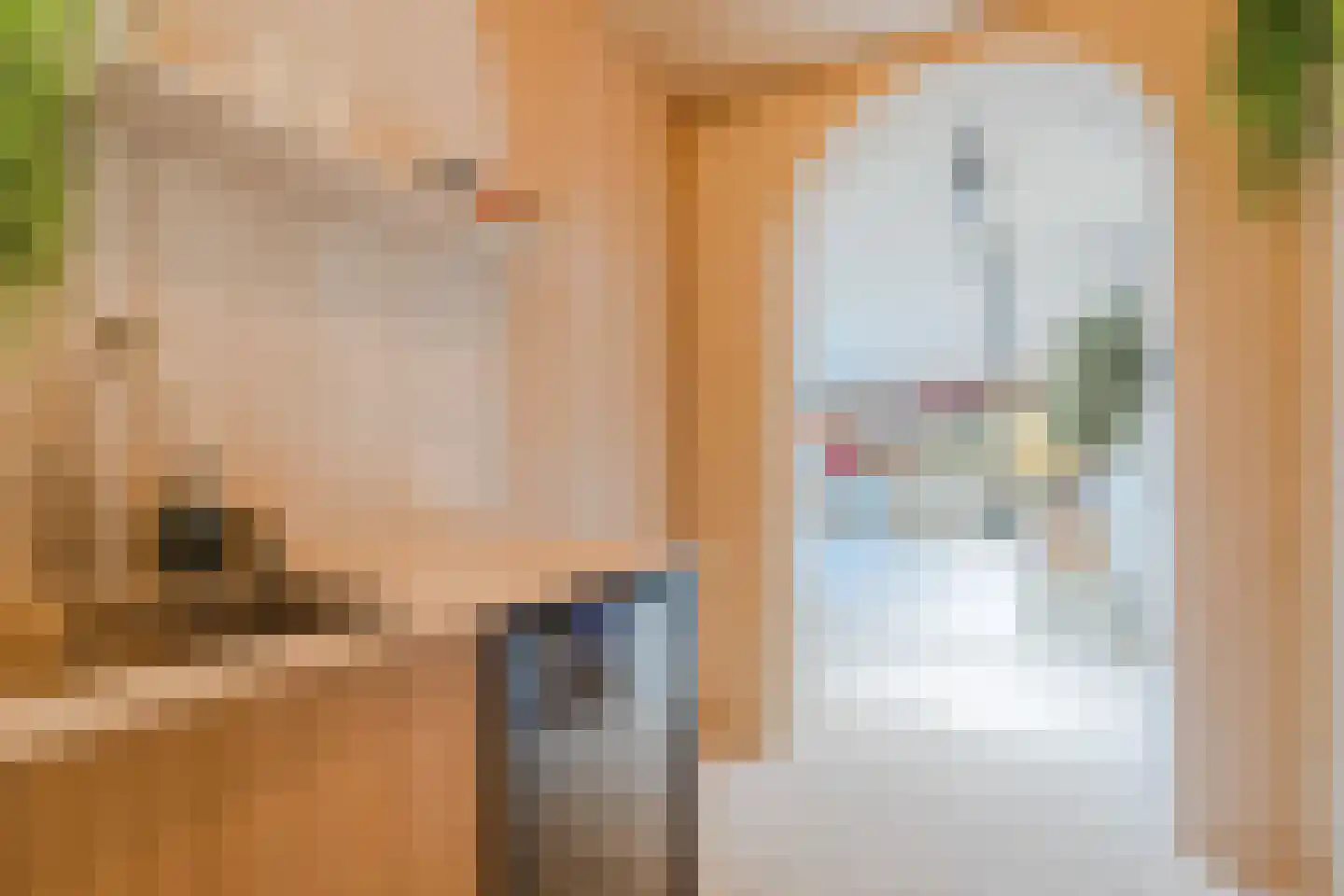 De Steenzager 36 Veldhoven thumbnail 37