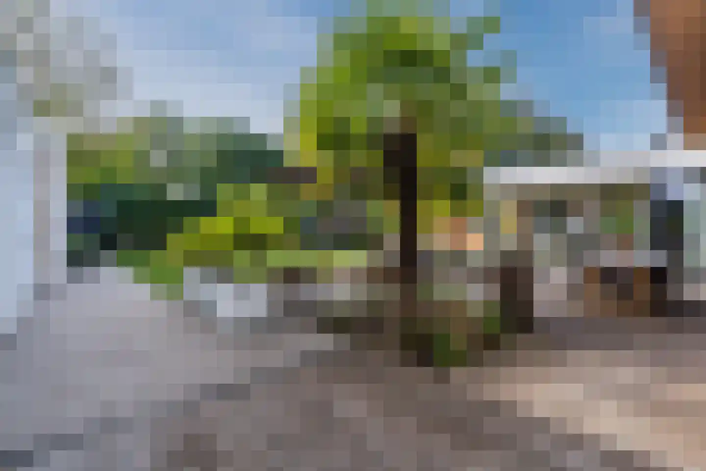 De Steenzager 36 Veldhoven thumbnail 41