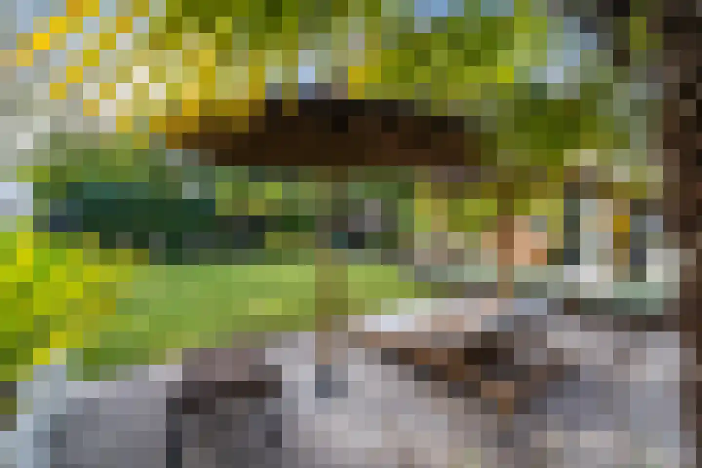 De Steenzager 36 Veldhoven thumbnail 42