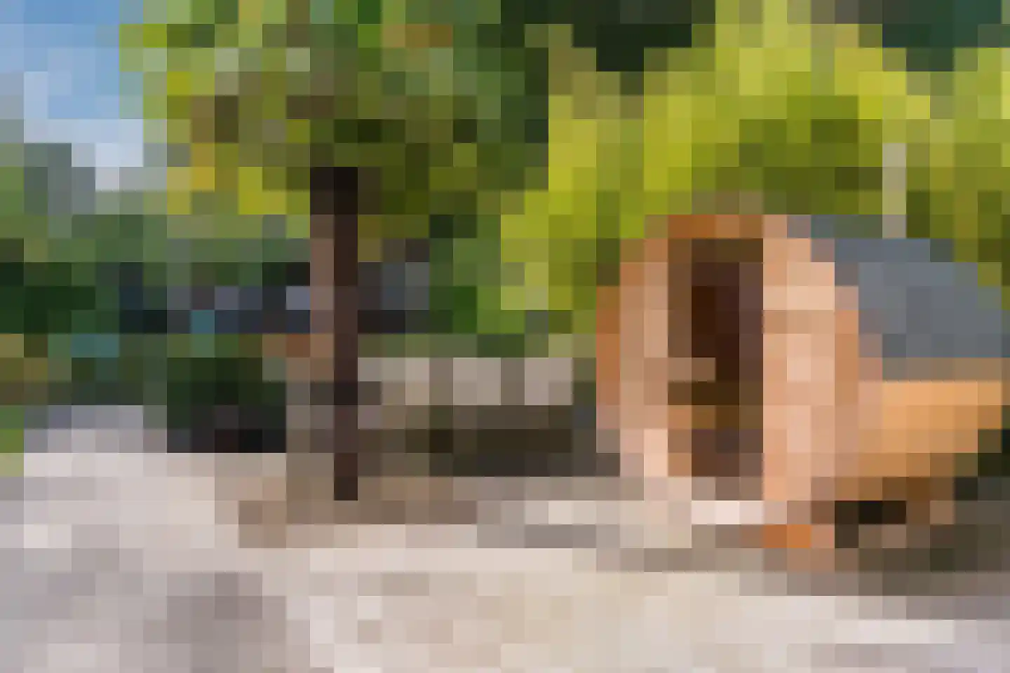 De Steenzager 36 Veldhoven thumbnail 43