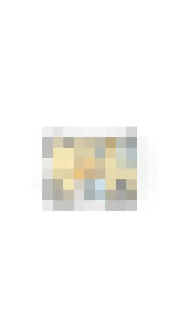 De Steenzager 36 Veldhoven thumbnail 52