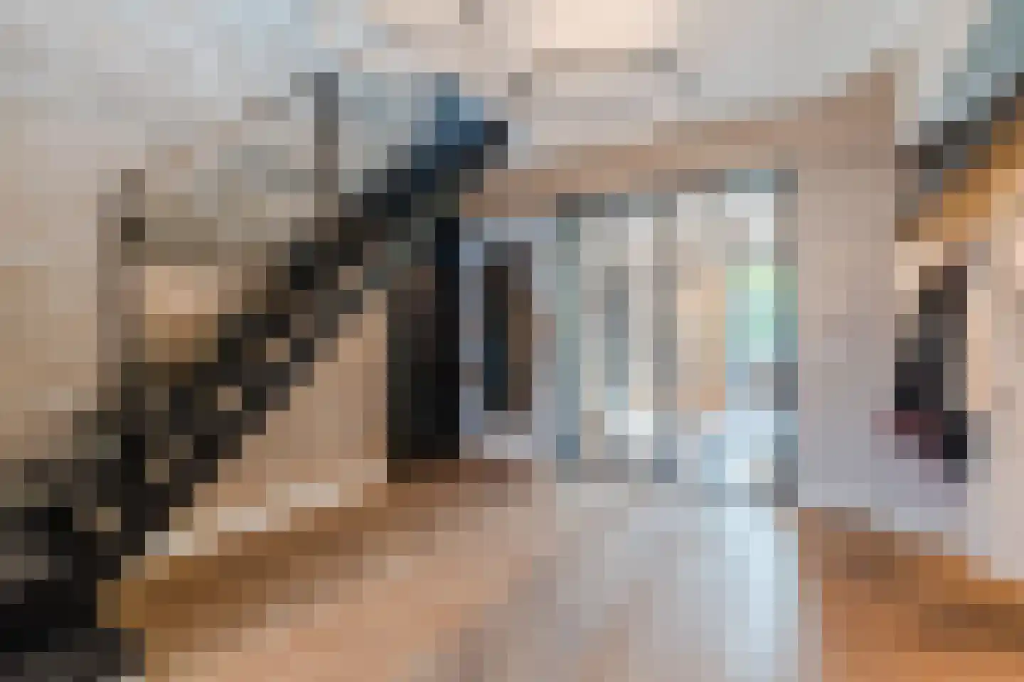 De Steenzager 36 Veldhoven thumbnail 6
