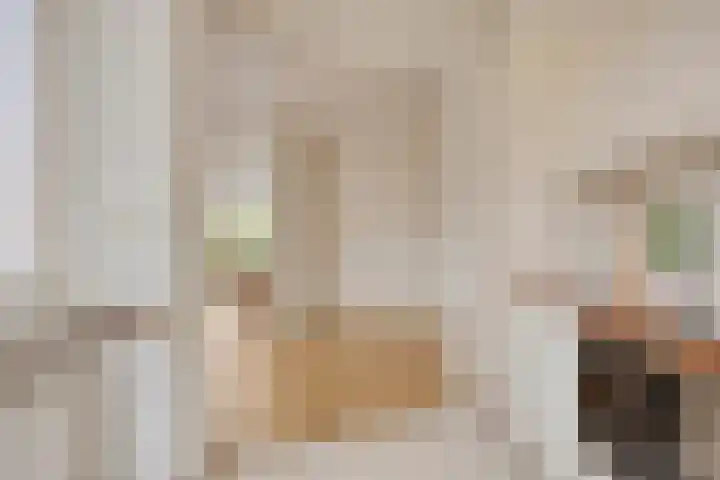 De Steenzager 39 Veldhoven thumbnail 18