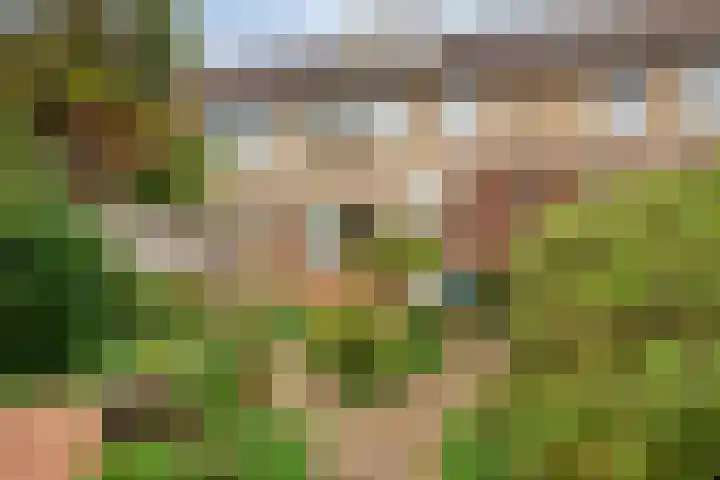 De Steenzager 39 Veldhoven thumbnail 20