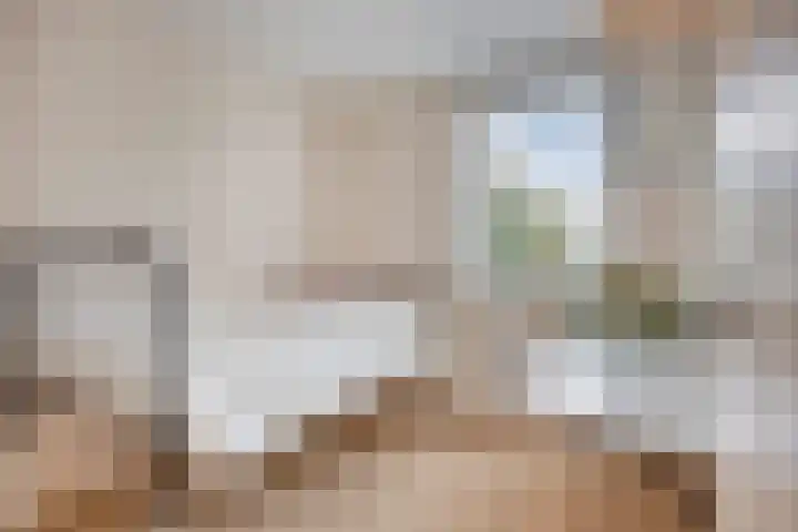 De Steenzager 39 Veldhoven thumbnail 26