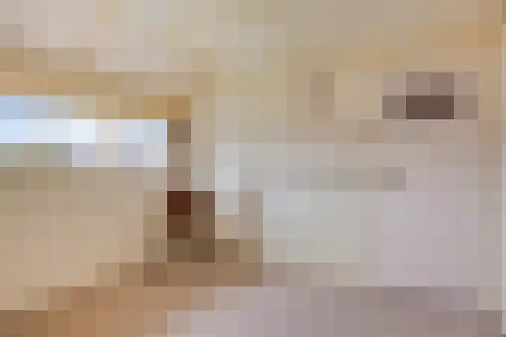 De Steenzager 39 Veldhoven thumbnail 31