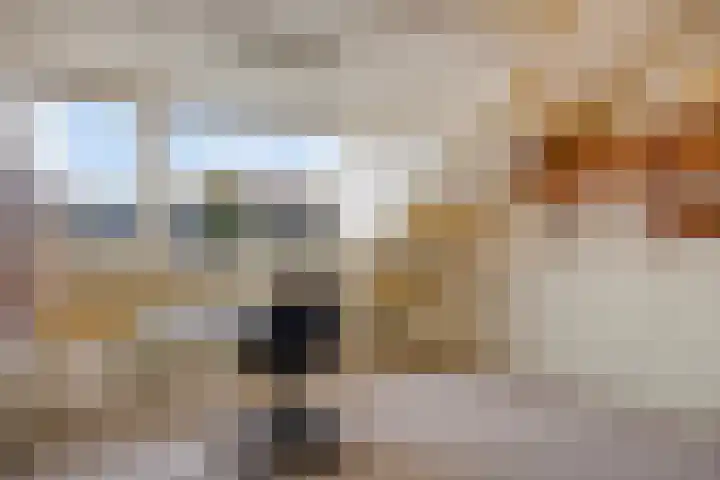 De Steenzager 39 Veldhoven thumbnail 32
