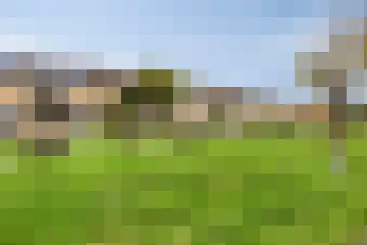 De Steenzager 39 Veldhoven thumbnail 6