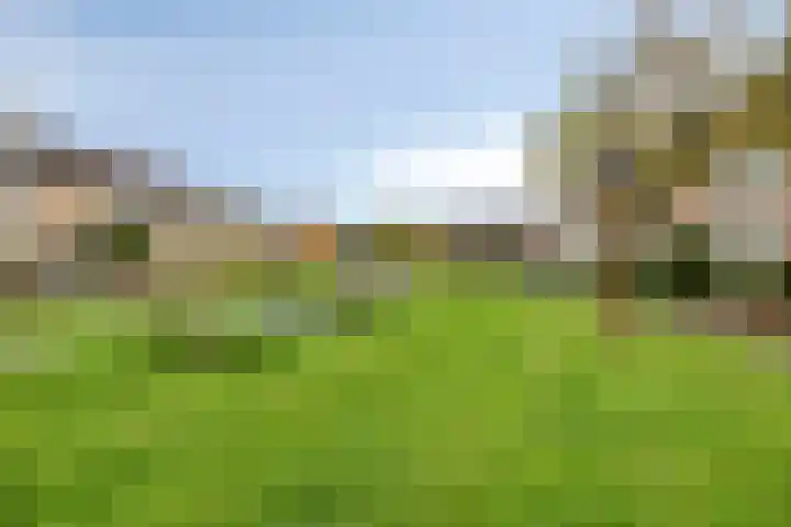 De Steenzager 39 Veldhoven thumbnail 7