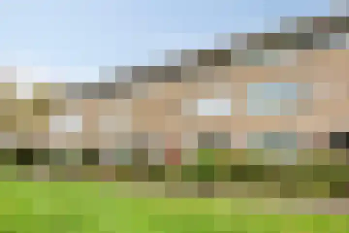 De Steenzager 39 Veldhoven thumbnail 8