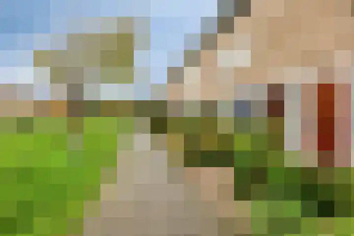 De Steenzager 39 Veldhoven thumbnail 9