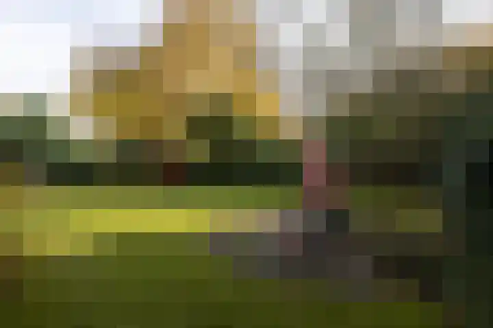 De Steenzager 40 Veldhoven thumbnail 25
