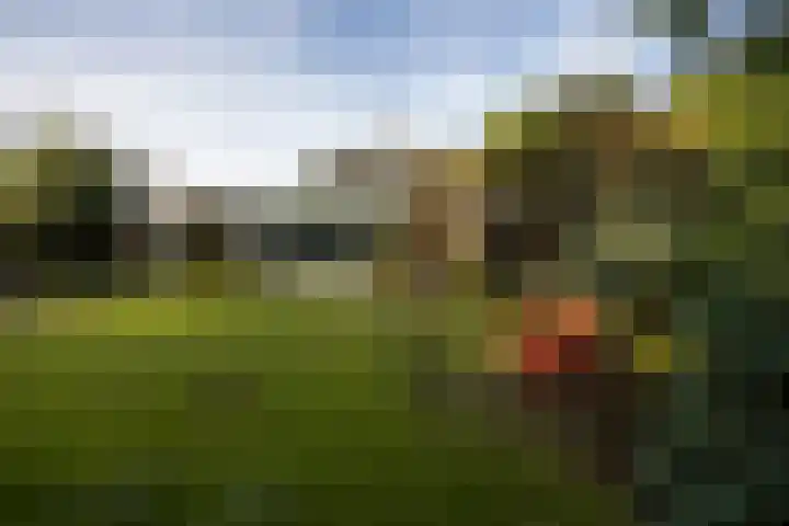 De Steenzager 40 Veldhoven thumbnail 27
