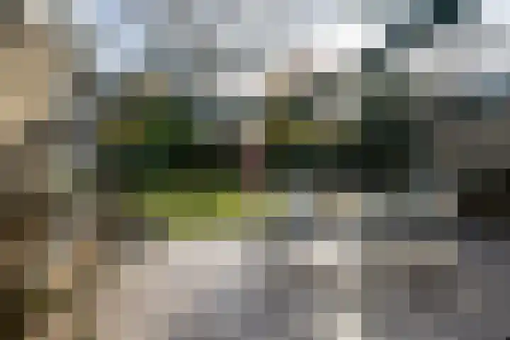 De Steenzager 40 Veldhoven thumbnail 29