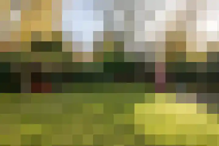 De Steenzager 40 Veldhoven thumbnail 30