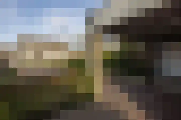 De Steenzager 40 Veldhoven thumbnail 31