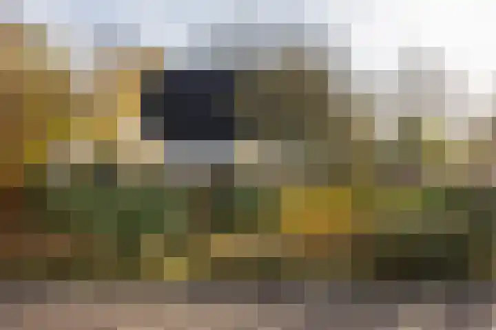 De Steenzager 40 Veldhoven thumbnail 32