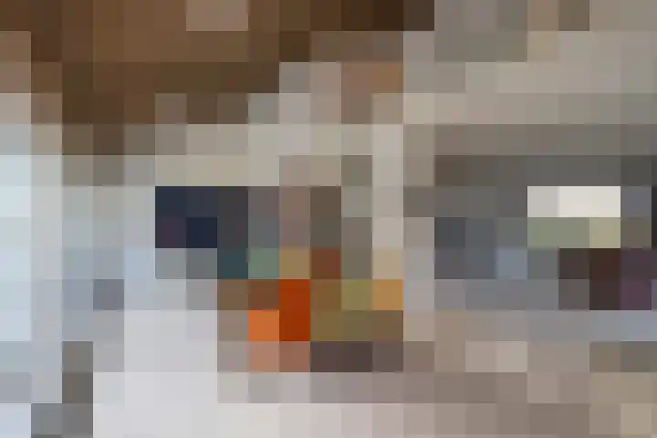 De Steenzager 40 Veldhoven thumbnail 9