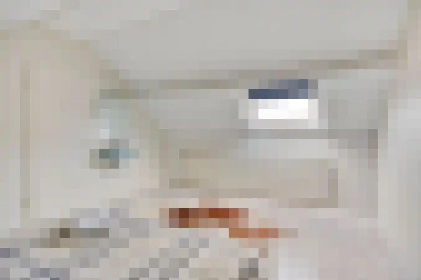 De Steenzager 61 Veldhoven thumbnail 27