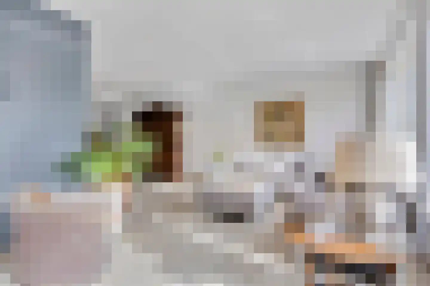 De Steenzager 61 Veldhoven thumbnail 7