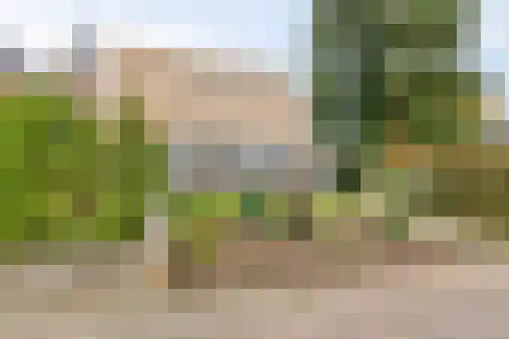 De Steg 2 Zeddam thumbnail 10