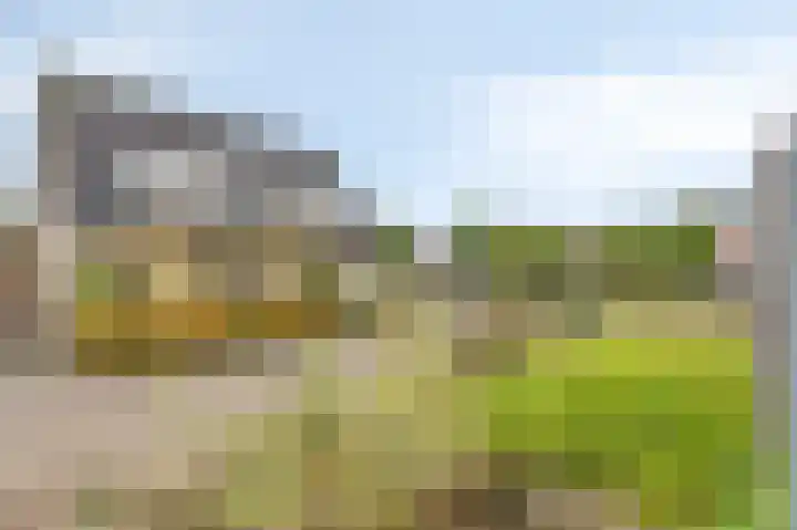 De Steg 2 Zeddam thumbnail 12