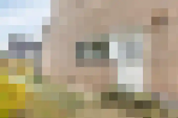 De Steg 2 Zeddam thumbnail 13
