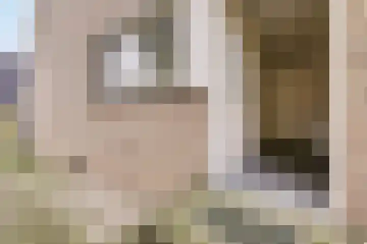 De Steg 2 Zeddam thumbnail 14