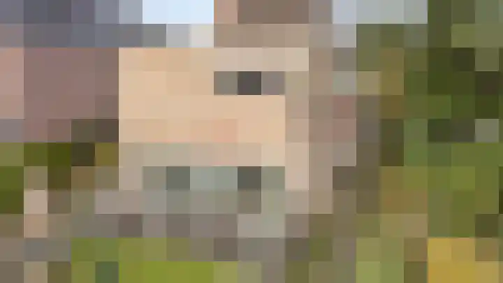 De Steg 2 Zeddam foto 2