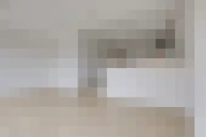 De Steg 2 Zeddam thumbnail 21
