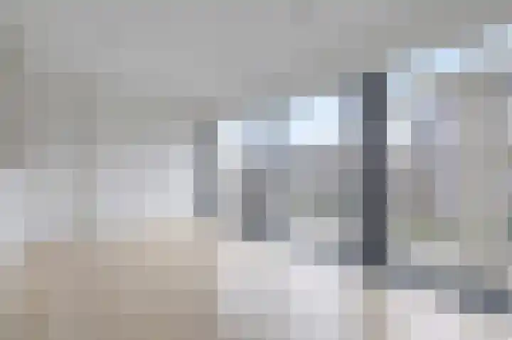 De Steg 2 Zeddam thumbnail 24