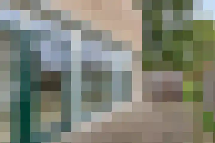 De Steg 2 Zeddam thumbnail 25