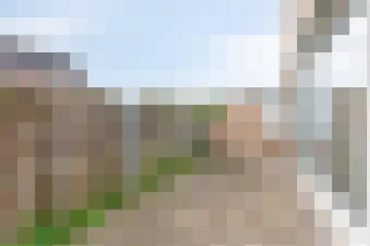 De Steg 2 Zeddam thumbnail 26
