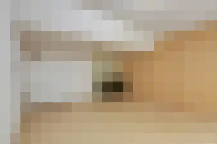 De Steg 2 Zeddam thumbnail 37
