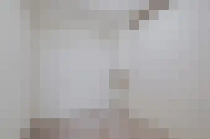 De Steg 2 Zeddam thumbnail 39