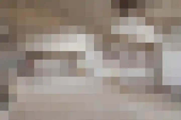 De Steg 2 Zeddam thumbnail 41