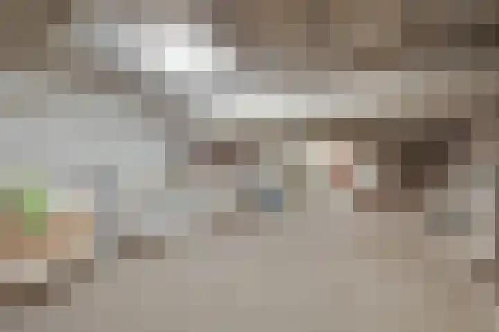 De Steg 2 Zeddam thumbnail 42
