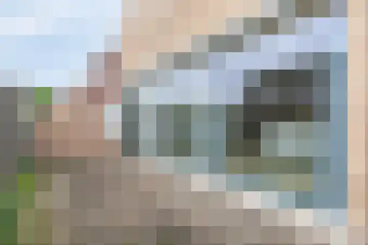 De Steg 2 Zeddam thumbnail 5