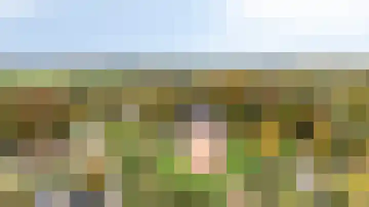 De Steg 2 Zeddam thumbnail 7