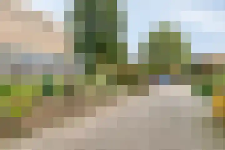 De Steg 2 Zeddam thumbnail 8