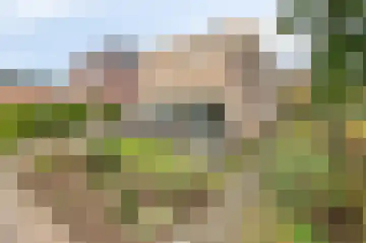 De Steg 2 Zeddam thumbnail 9