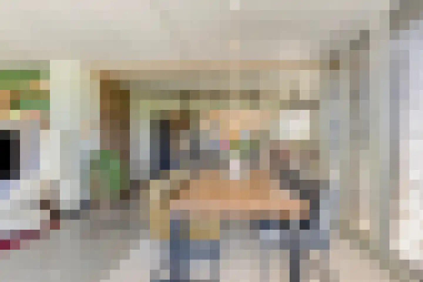 de Stege 1 Veessen thumbnail 12