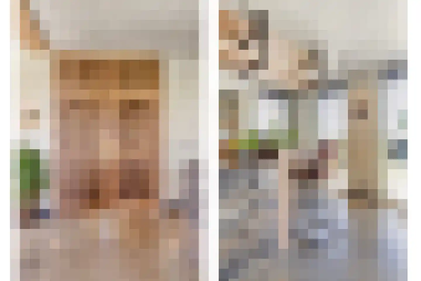 de Stege 1 Veessen thumbnail 16