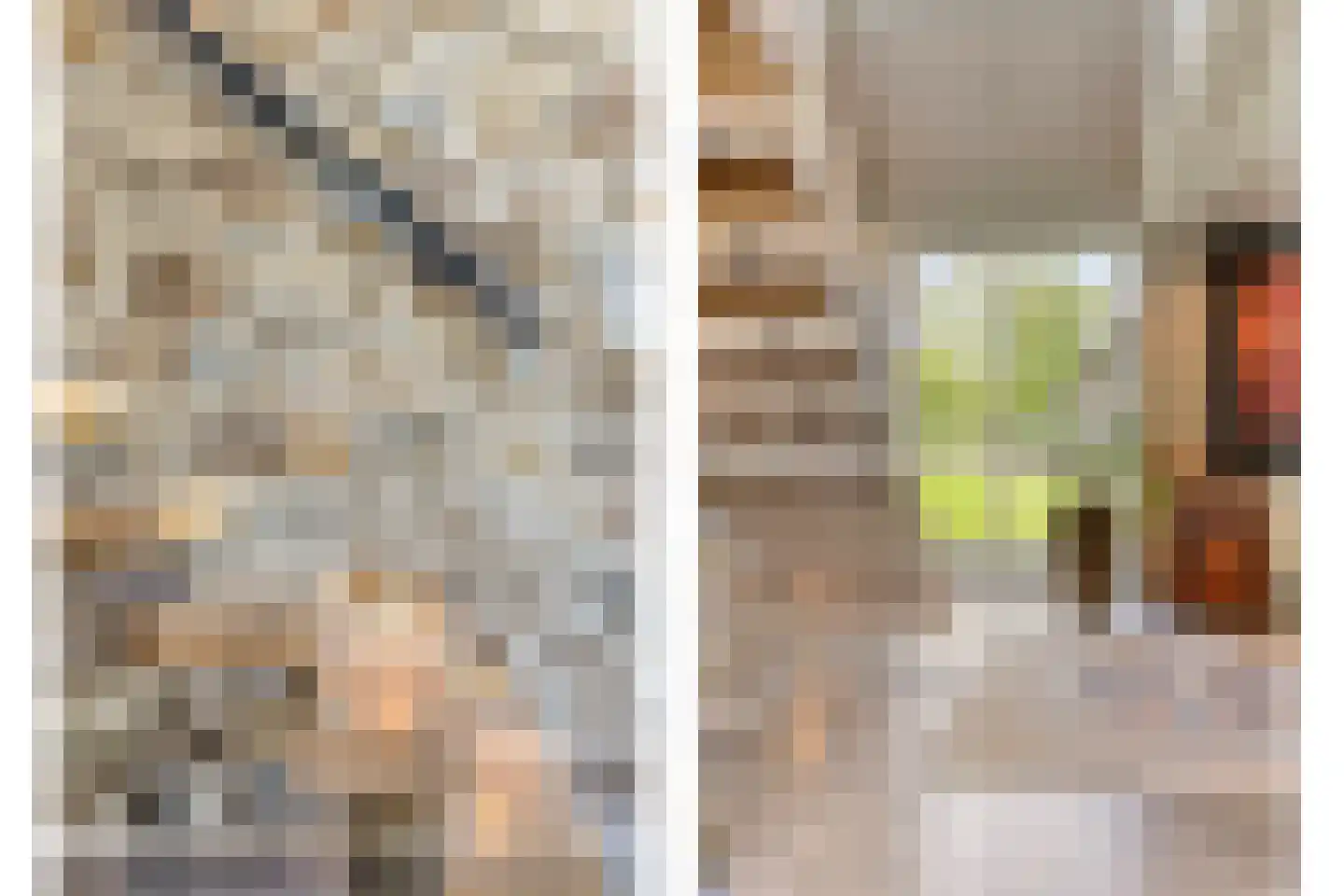 de Stege 1 Veessen thumbnail 19