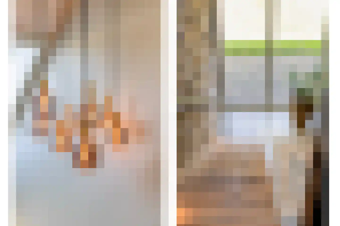 de Stege 1 Veessen thumbnail 20